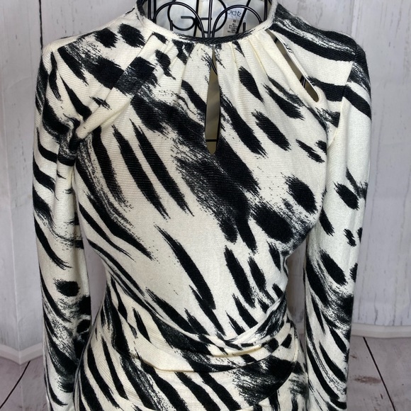 Cache Zebra Dress - Picture 9 of 10